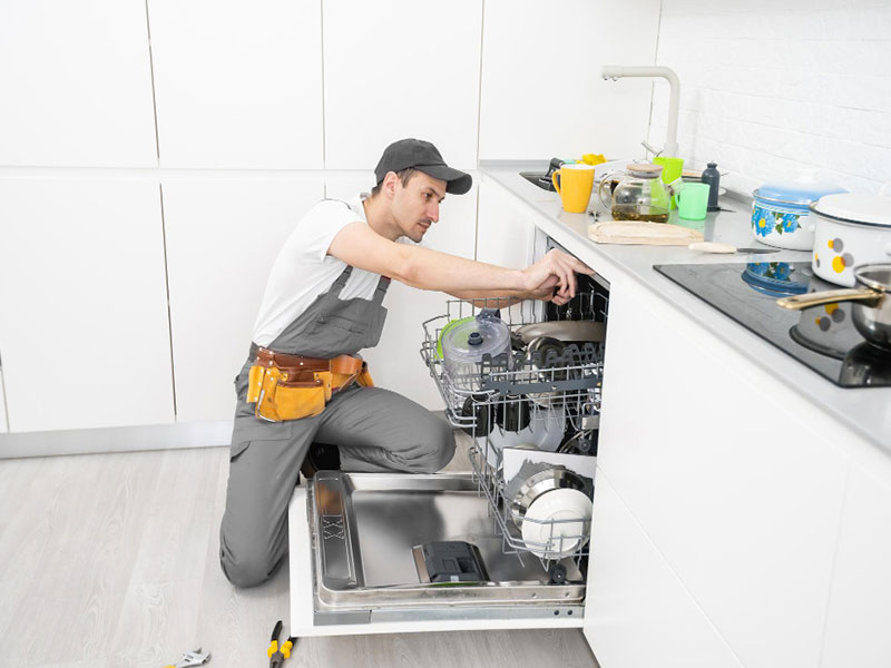 Dishwasher repair